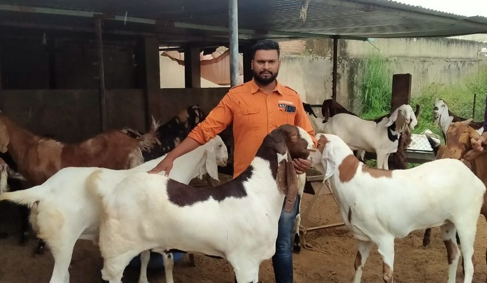 Indefinite postponement of animal fairs in Rajasthan due to COVID-19 hits  livestock rearers - Gaonconnection | Your Connection with Rural India