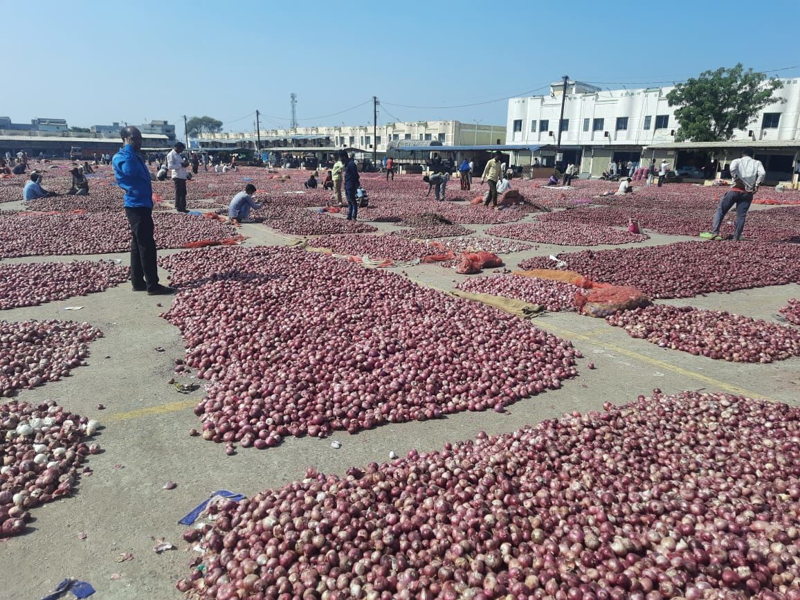 Onion Tears: The price of onion might have come down, but is expected to  climb steeply again - Gaonconnection | Your Connection with Rural India
