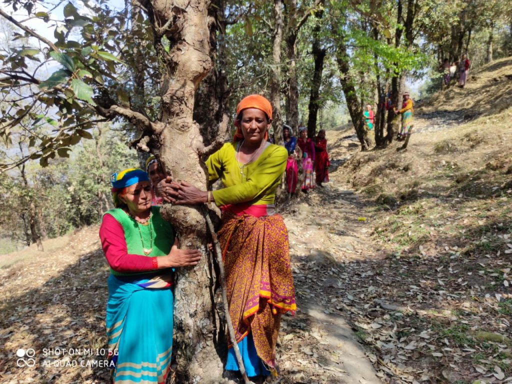 Chipko-like stir to save 500 trees in Uttarakhand on hold ...