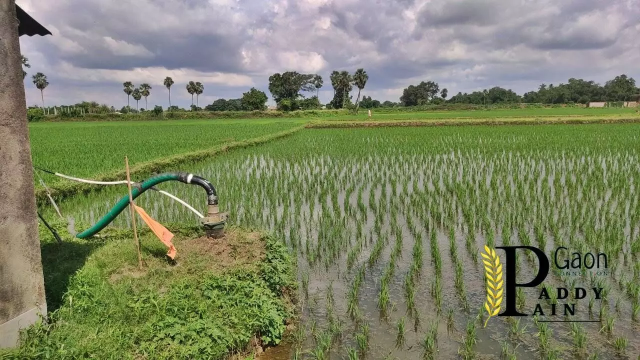 Farmers have urged the power department not to cut off the supply even if there are pending bills as they use electricity-operated pumps to irrigate their fields.