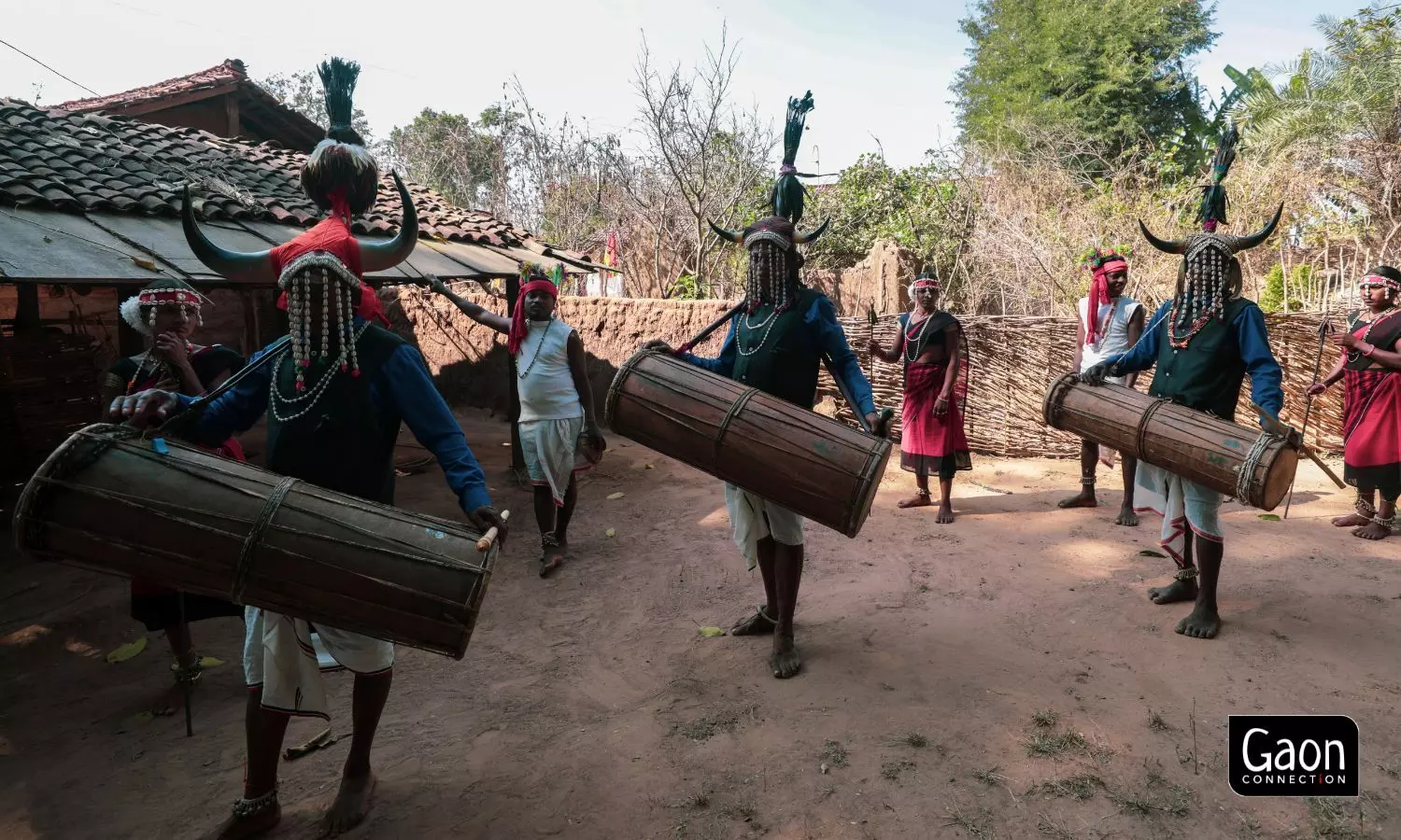 The bison horn dance is performed on social occasions, festivals, and at the time of the harvest. 
