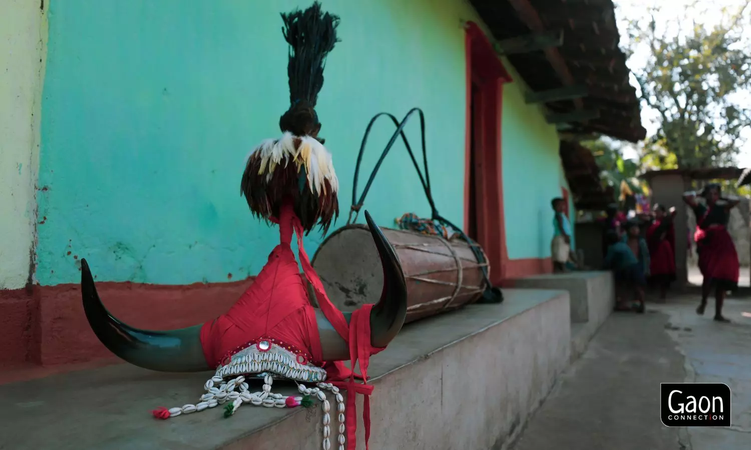 The headgear was traditionally made with the horns of wild bison. But, with the bison population declining fast, the horns have been replaced by wood/ bamboo frames. 