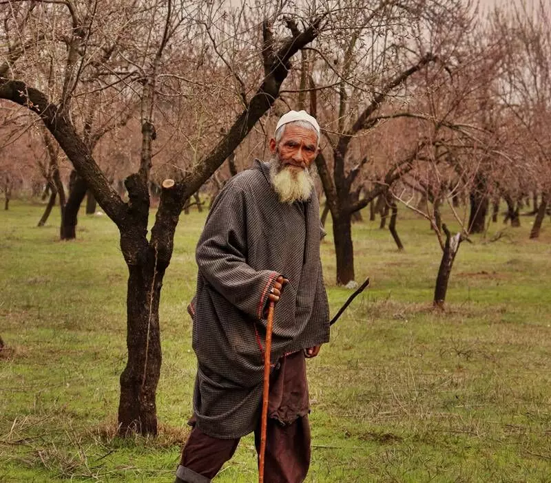 A farmer overseeing his almond orchard in Kashmir. Photo courtesy: Umar Farooq 