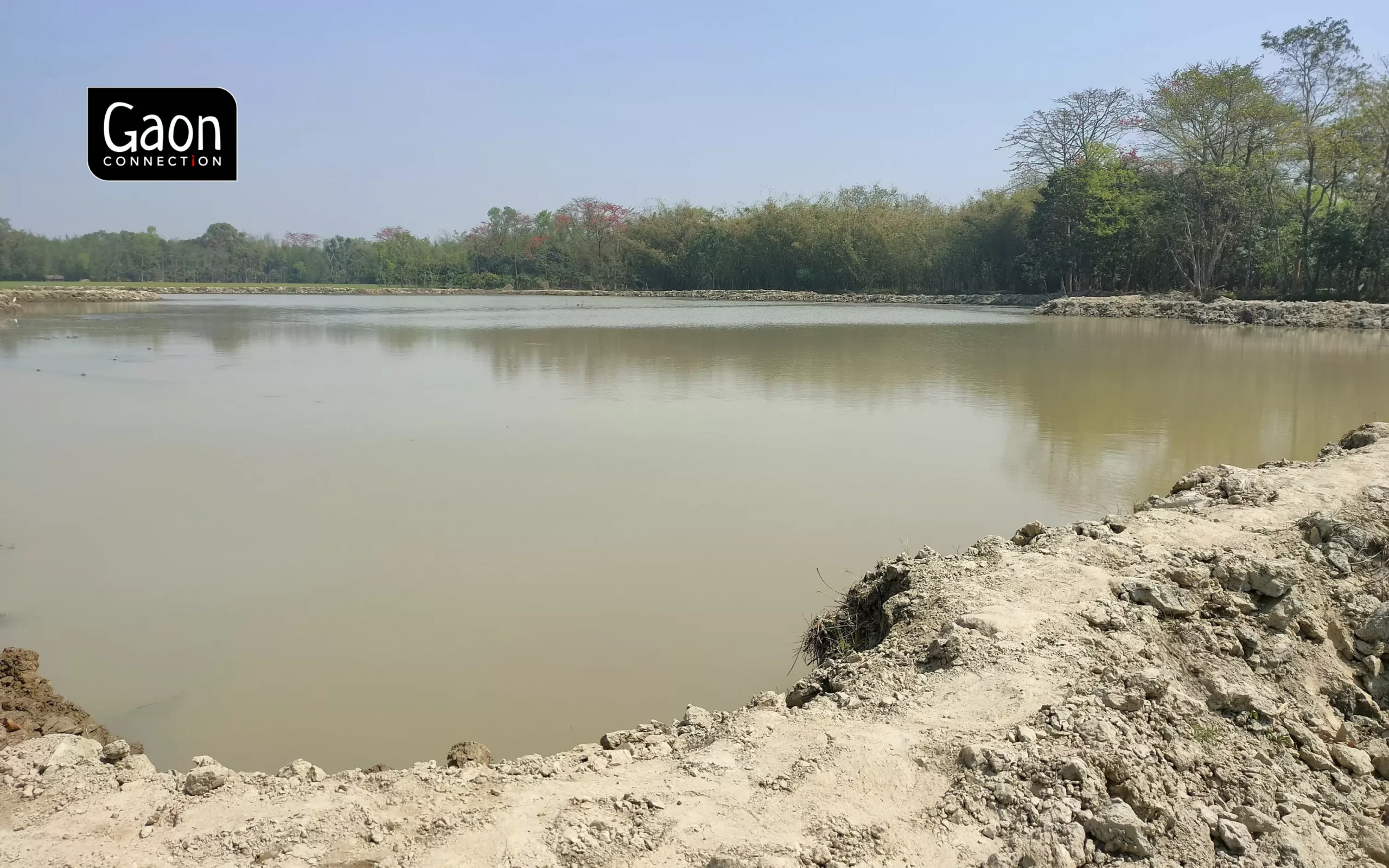 Nearly 40 per cent of the cultivable area in the village is under water and that is the reason most of farmers decided to cultivate fox nuts. Photo by Rahul Jha