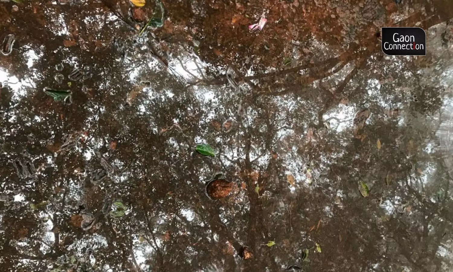 The beauty of Matheran multiplies manifold during the four months of the southwest monsoon (June to September) when the hill station receives very heavy rainfall.