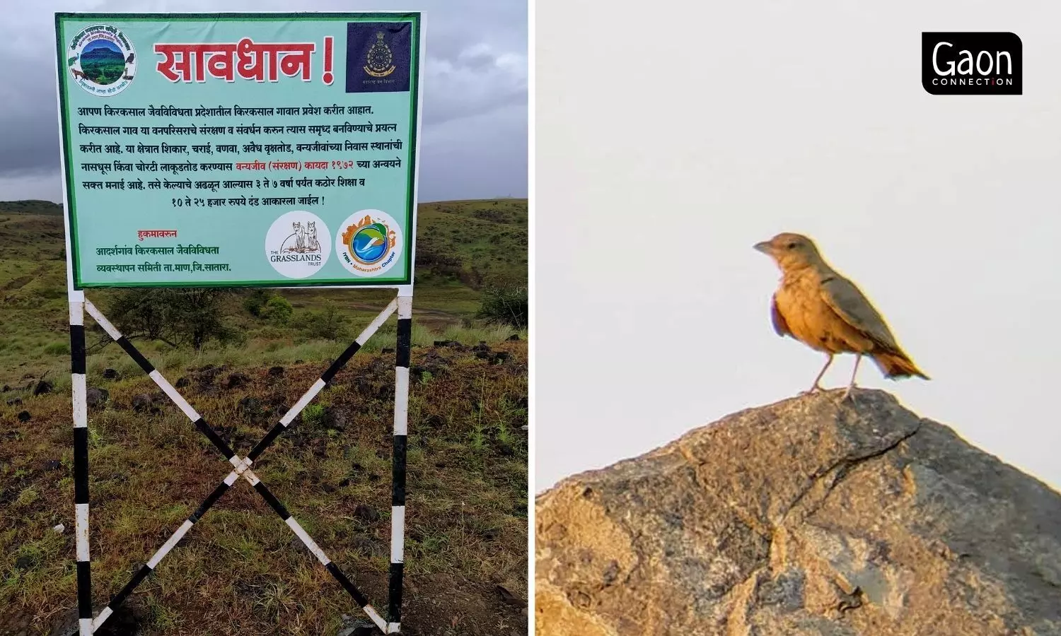 In February 2021, Kiraksal village took part in the Great Backyard Bird Count (where thousands of birdwatchers across the world record the birds they spot on specific four days of the month). In Kiraksal about 15 young people, many of them school children, took part.