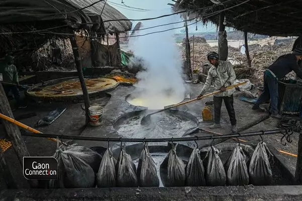 The fuel for heating these boilers comes from the sugarcane husk which is found in abundance in the sugarcane fields. 