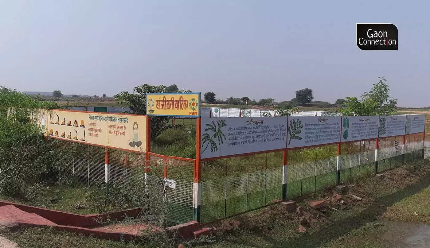 A herbal garden having various kinds of flowers and medicinal plants was constructed at Sanjivani Vatika, near the pond. A herbal garden having various kinds of flowers and medicinal plants was constructed at Sanjivani Vatika, near the pond.