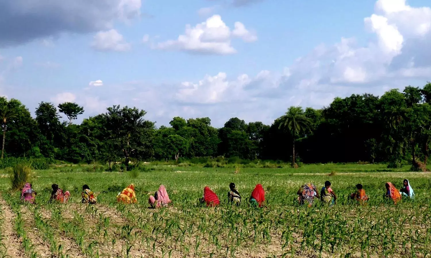 Bulky pumpsets that are difficult to move are liable to be stolen and that is an added worry for farmers. Photo by arrangement.