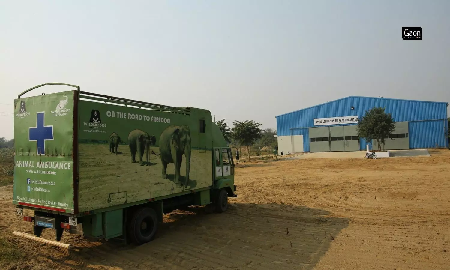 The medical facility has carved its niche specialising in geriatric elephant care, wound care, eye issues, musculoskeletal issues & neurological issues. 