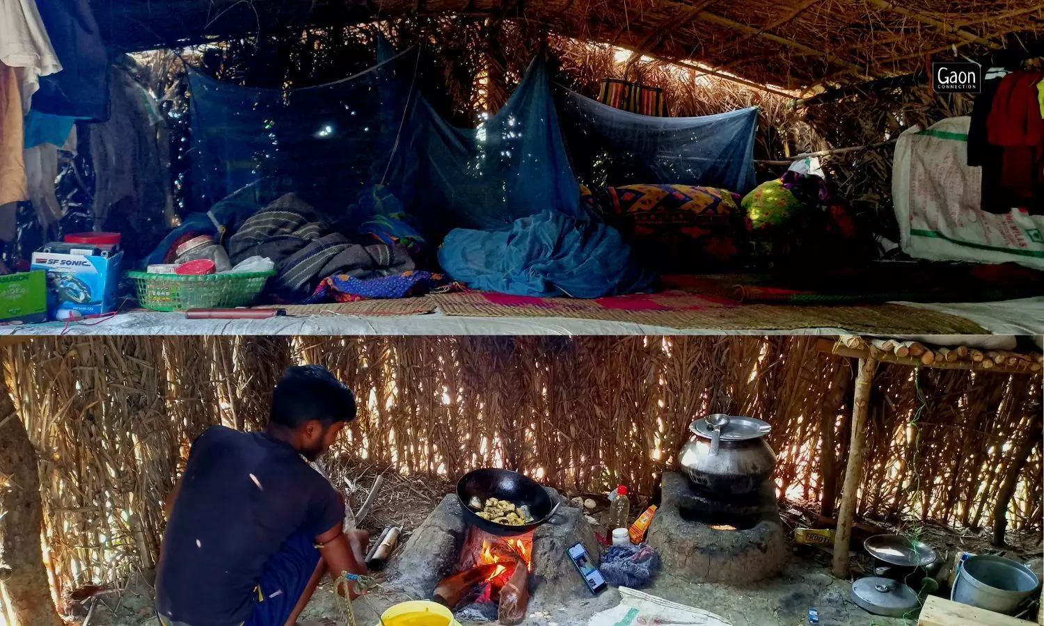 The jaggery makers come to their place of work in November and build themselves small thatched huts where they stay for the following three months. 