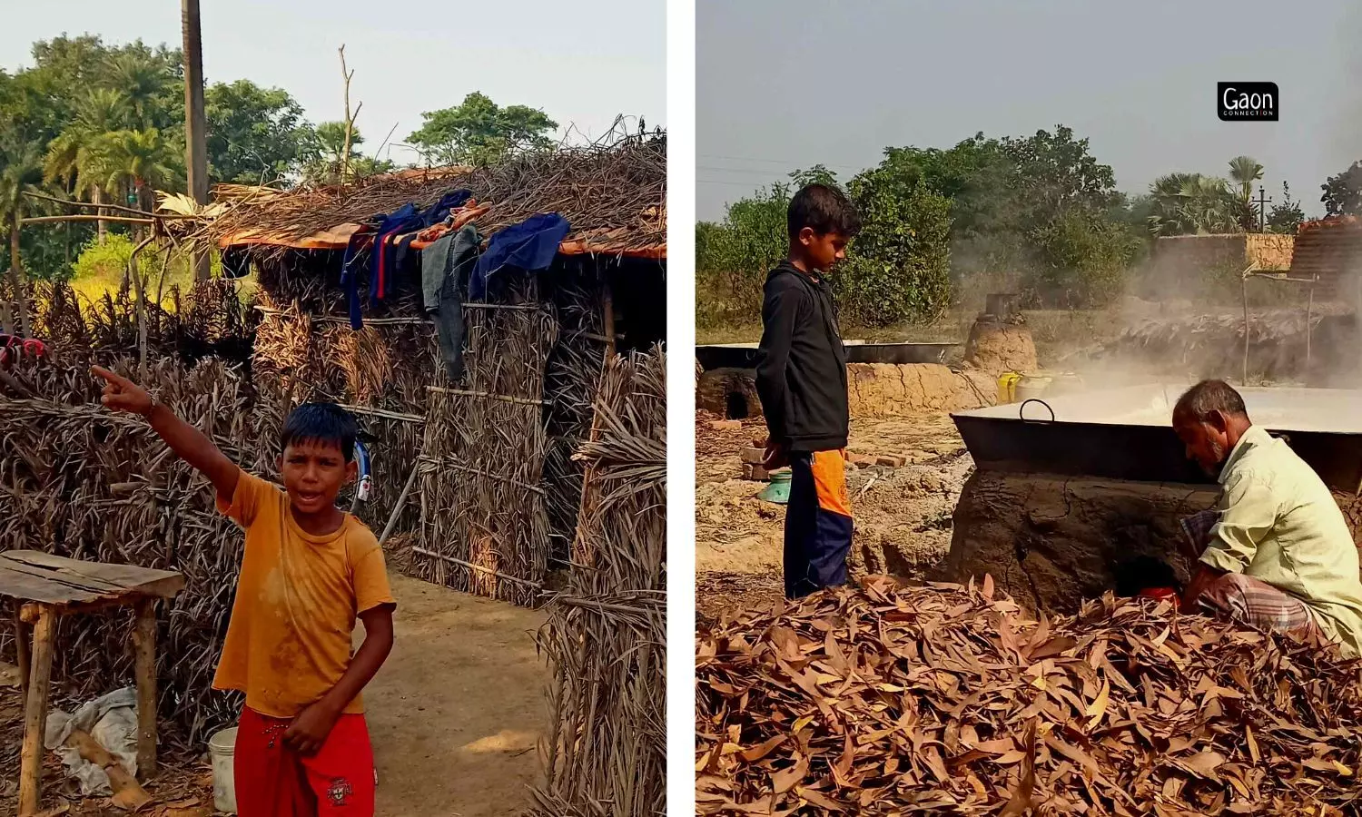 Date palm jaggery forms the economy of several villages in the region, as most of the traditional jaggery makers do not have a cultivable land of their own.