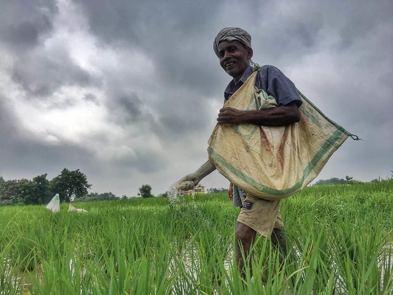 farmer