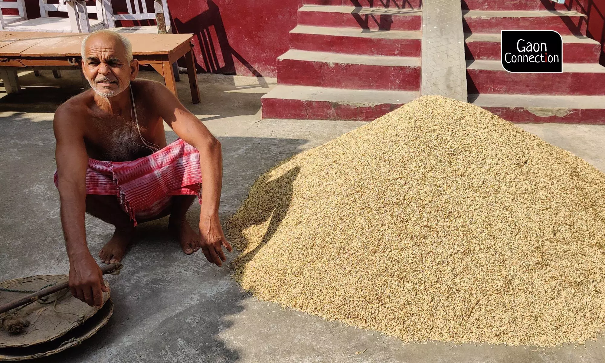 The lowering of acreage of rice in India is juxtaposed with a severe drought in the eastern region of Africa. Photo by Umesh Kumar Ray 