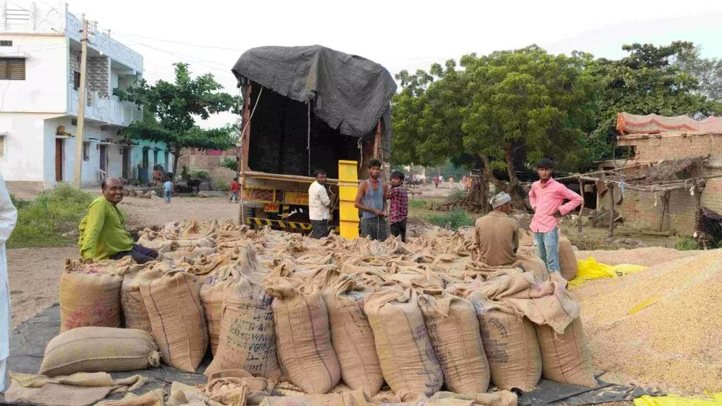 The ramifications of lower paddy production in India transcend the national boundaries. Photo by Umesh Kumar Ray