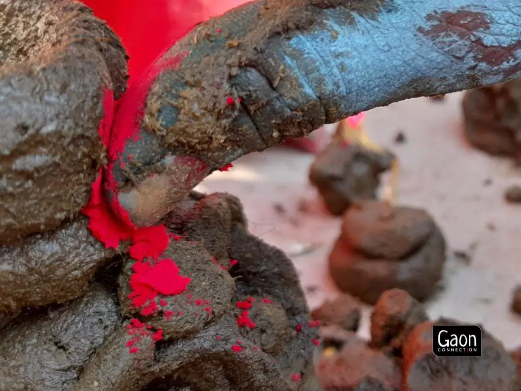 The day after Diwali, women create a form with cow dung and decorate it like a married woman.