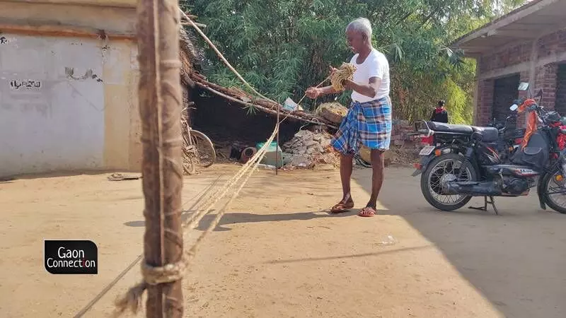 Sunn ropes were once used to make charpai (cots), tie cattle, use around pails that were lowered then into wells to collect water, and on auspicious occasions.