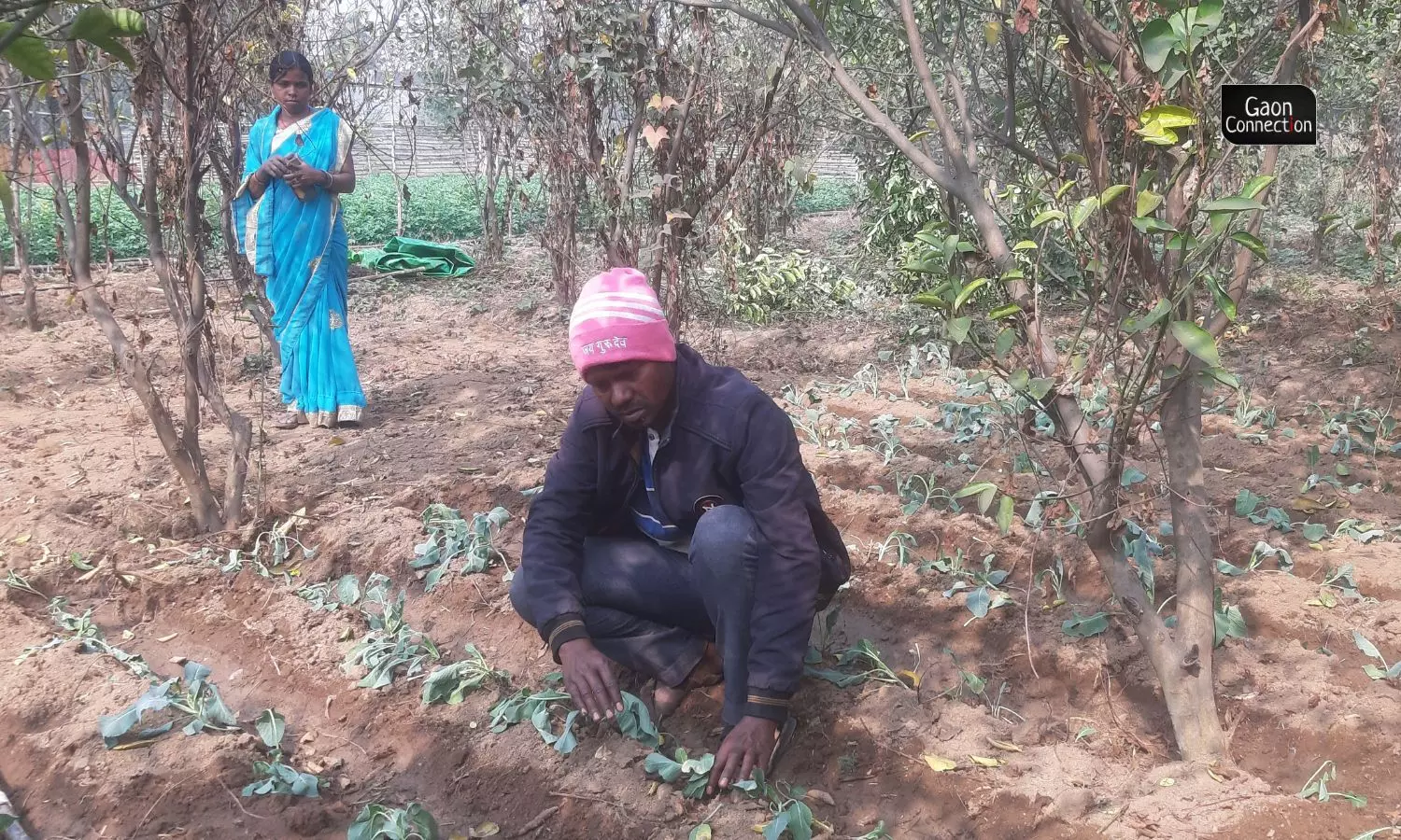 Savita learnt how to gauge the soil, which sapling required what kind of soil, how to pick the best seeds and how to make her own herbal pesticides and use it.