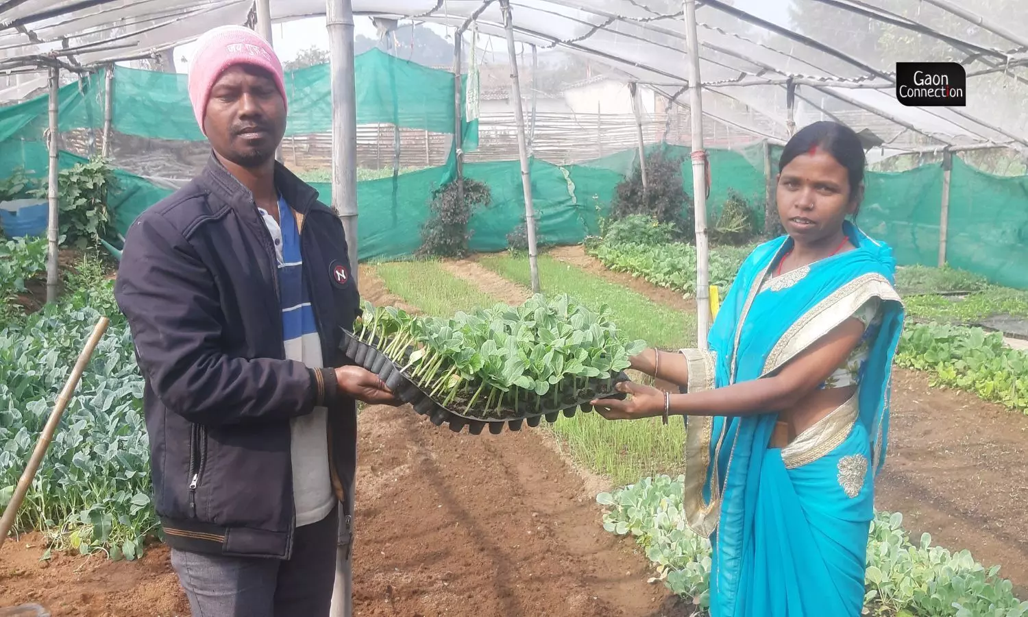 Each tray of 100 saplings, depending on which flower or vegetable sapling it is of, sells at anything between Rs 100 and Rs 300.