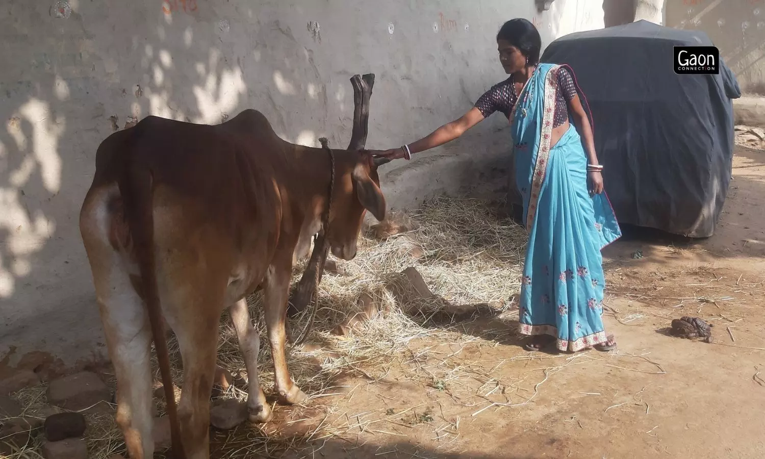 Renu Devi recently attended a training in Hyderabad. There, she learnt new aspects of paddy farming and is eager to apply them in the next cropping season.