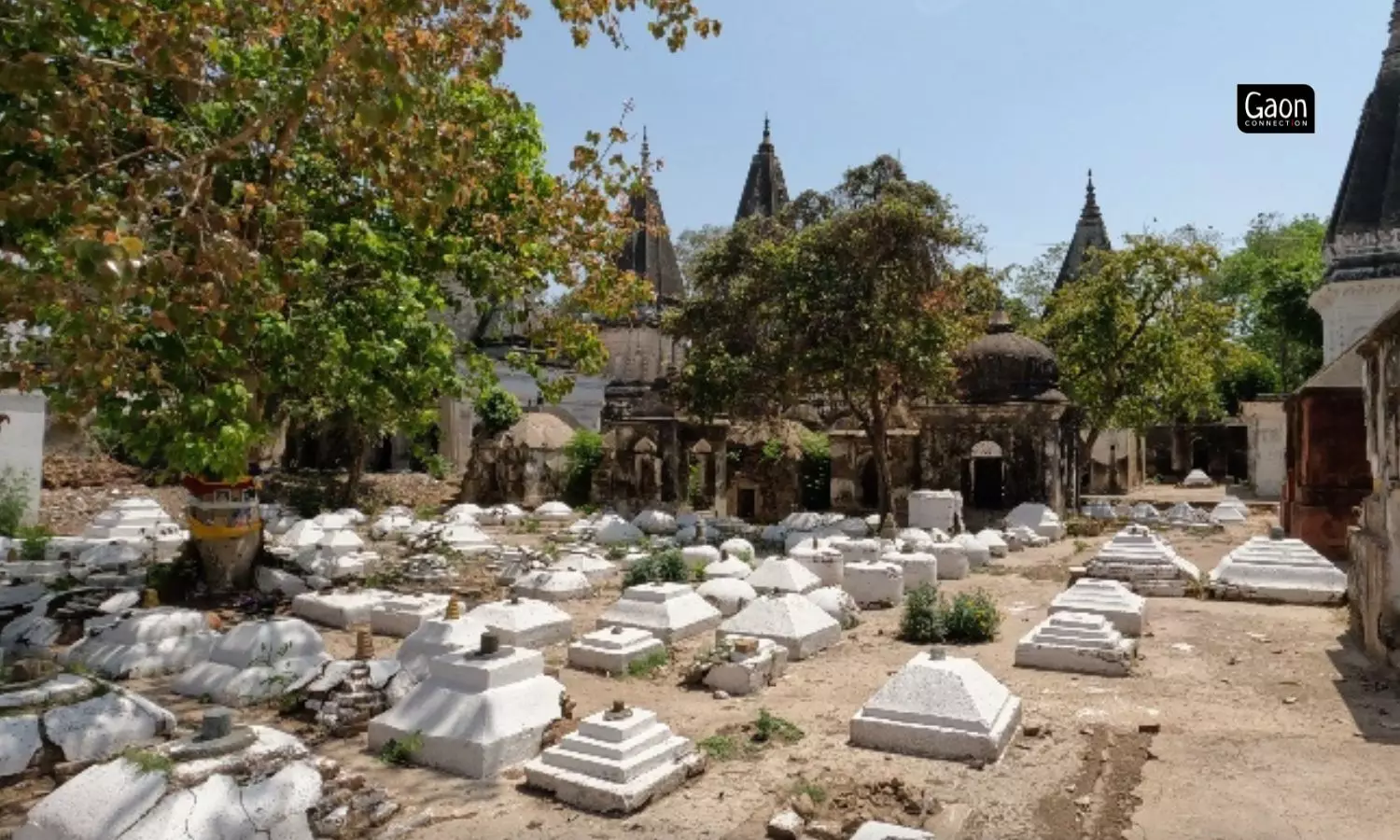  Buddhists from all over the world visit this Temple to pay their respects and pray to Buddha.