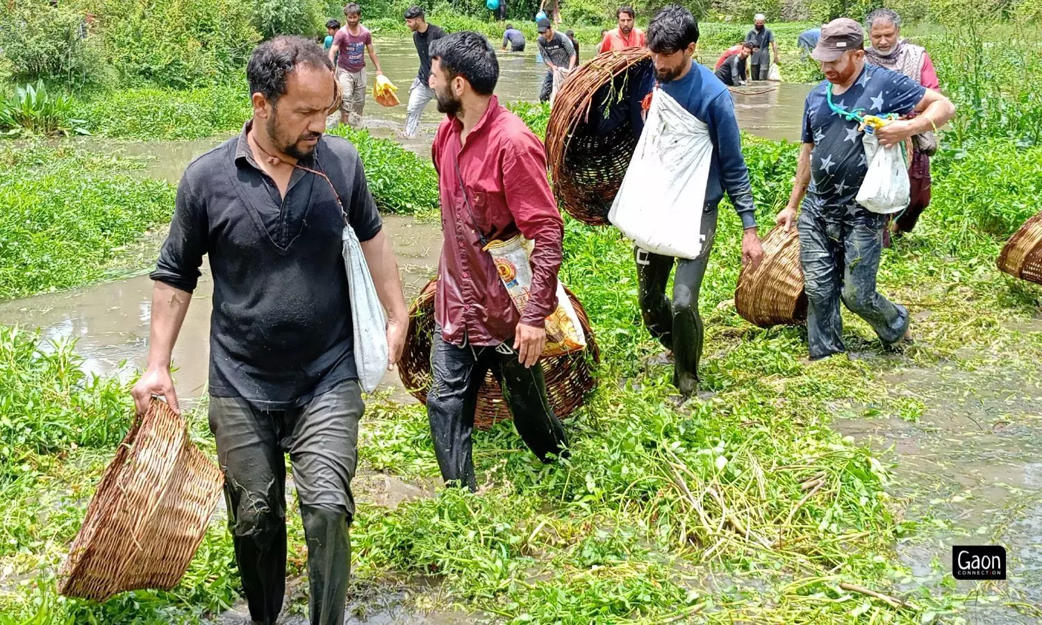 Panzath Nag is derived from the word ‘Paanch Haath’, meaning ‘five hundred’ in Kashmiri. It is believed the 500 springs lie in a radius of 1.5 kilometres from Panzath village.