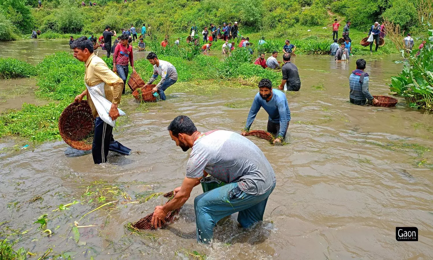 People waded into the Panzath Nag with wicker and plastic baskets and together cleaned the freshwater spring. 