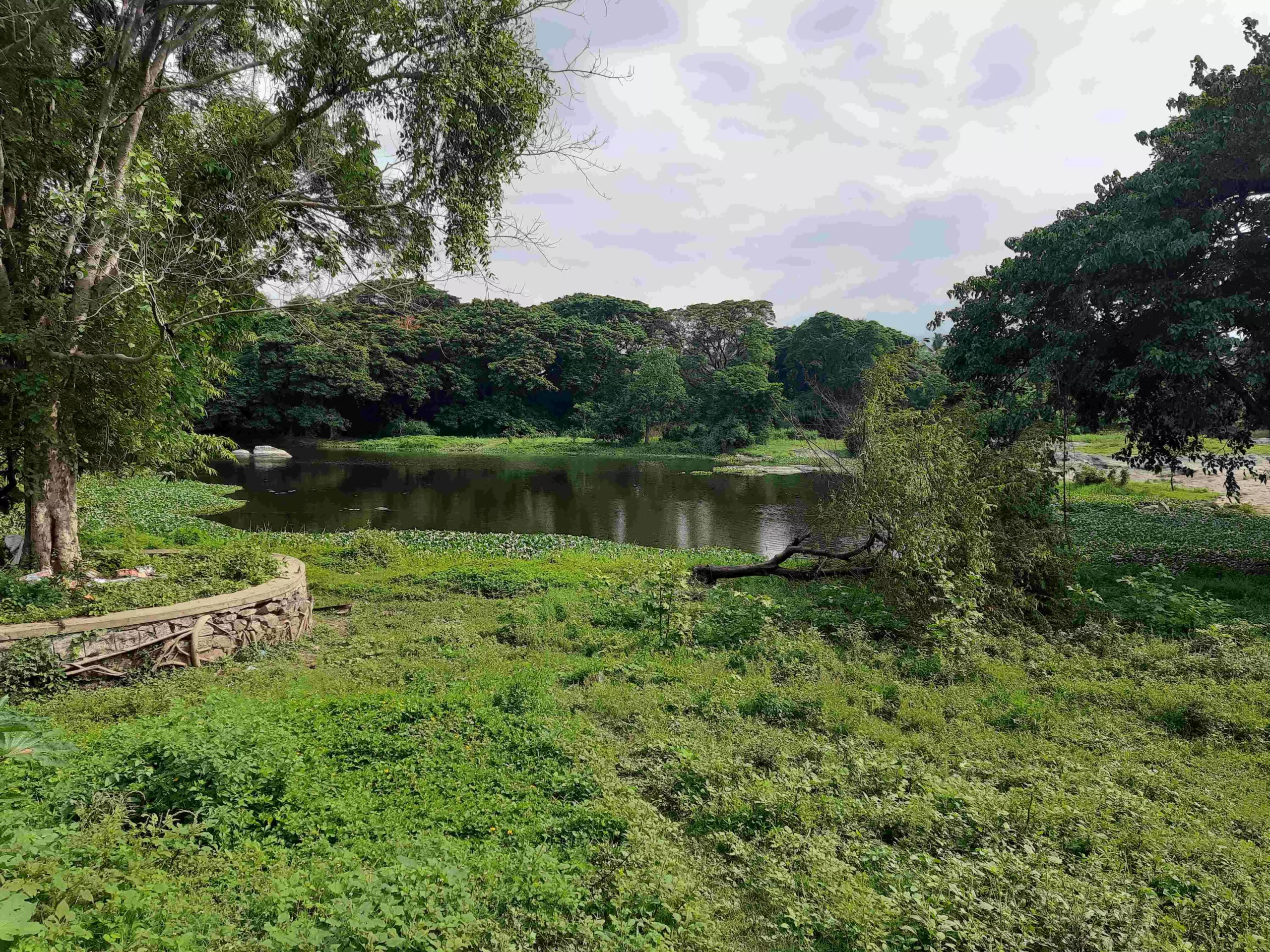 There is barely a ripple on the Neela river. Migrants from the distant Cauvery Basin, built homes on her banks as far back as the 15th Century and have been living in them ever since.