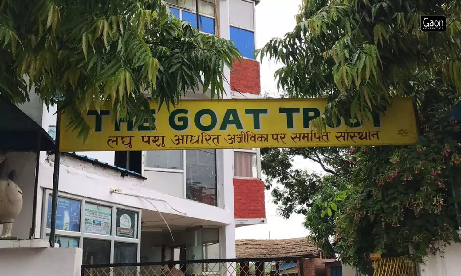 The Goat Trust has trained for free over 25,000 rural women as Pashu Sakhi. It also works with approximately 450,000 goat farmers across 18 states.