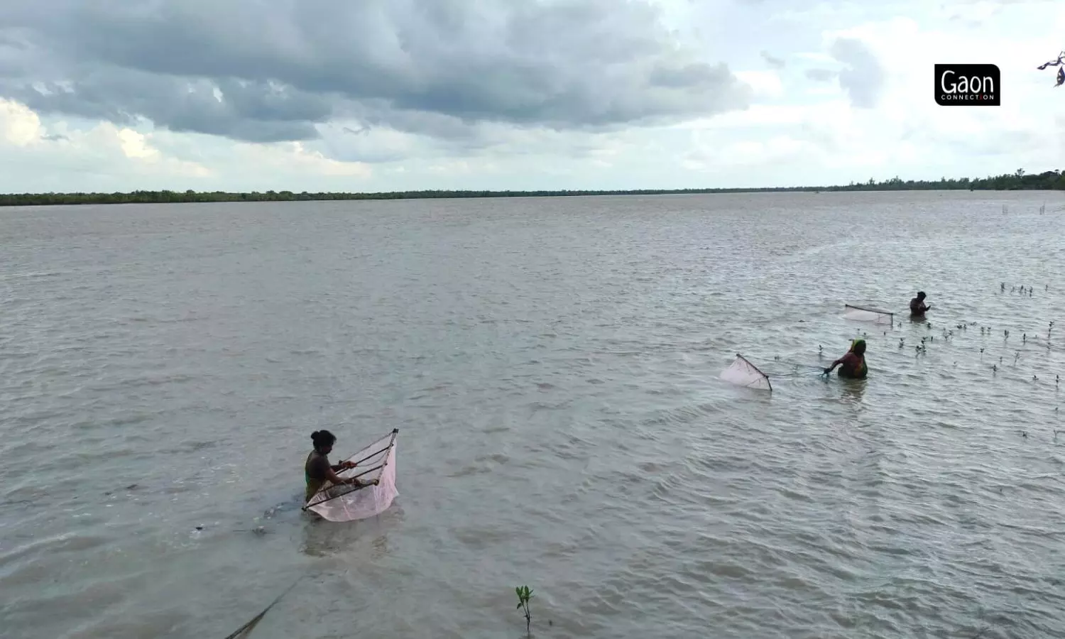 While the men coped with livelihood uncertainties mainly through seasonal out migration, women coped with whatever available livelihood options, such as prawn seedling collection.