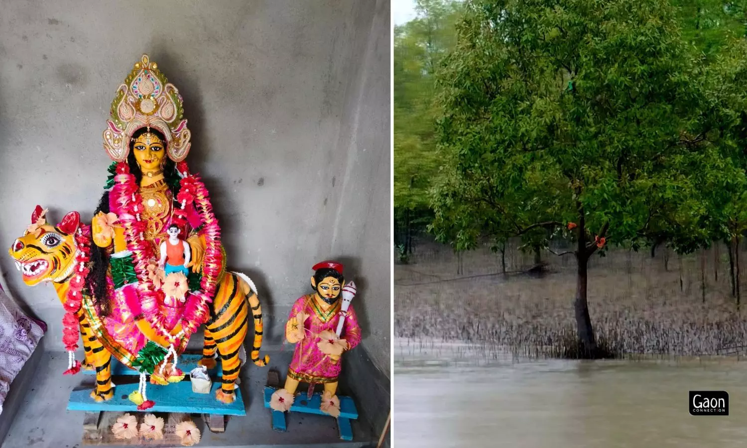 Left: Before leaving, the fishers worship the forest goddess Bonbibi, who is considered as a protector of the realm.Right: The fishers place garlands on the Sundari tree in the mangrove forests.